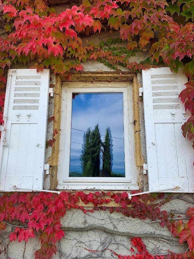Le Gite De Buffetieres Saint-Romain-de-Popey Buitenkant foto