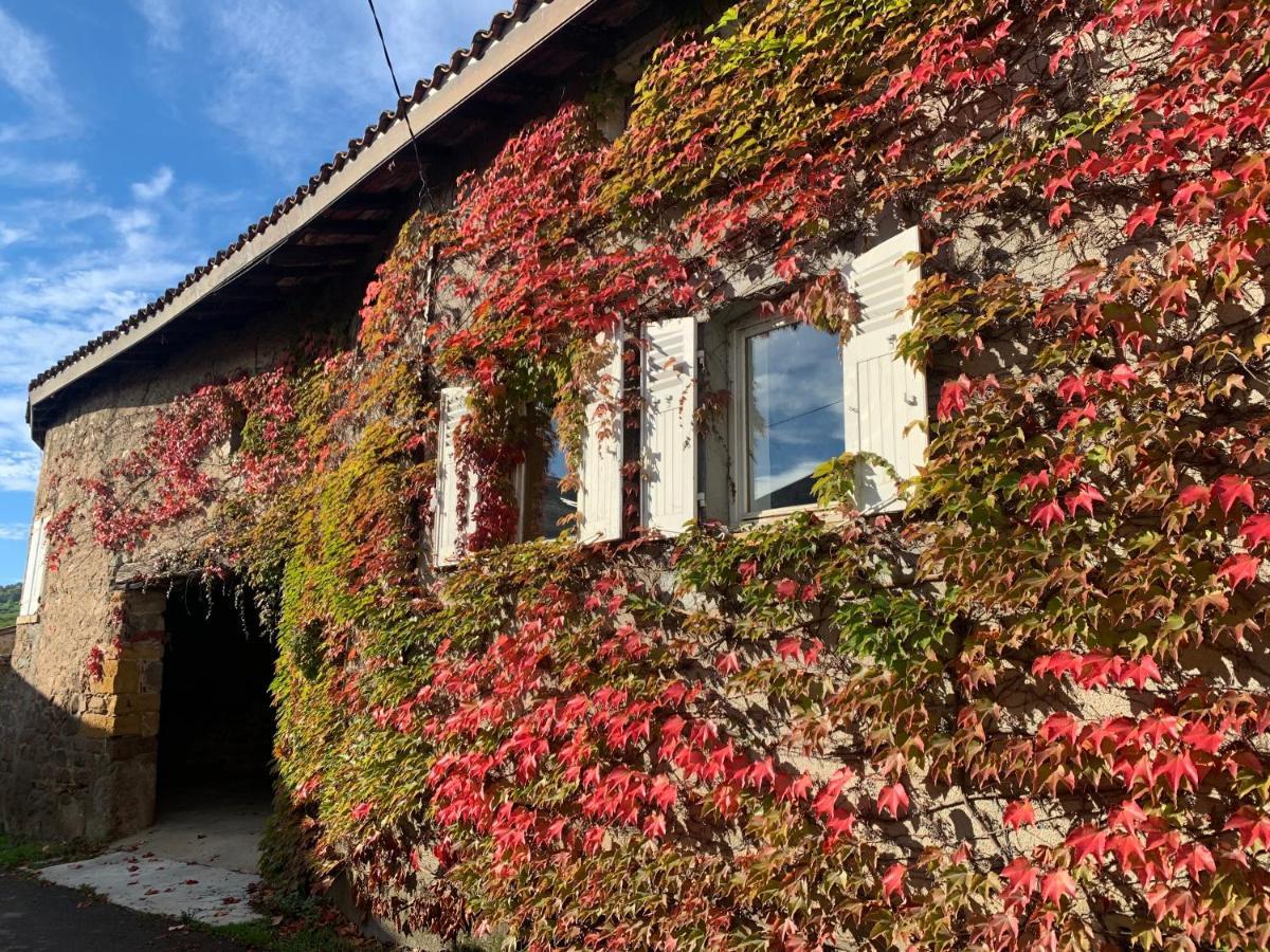 Le Gite De Buffetieres Saint-Romain-de-Popey Buitenkant foto