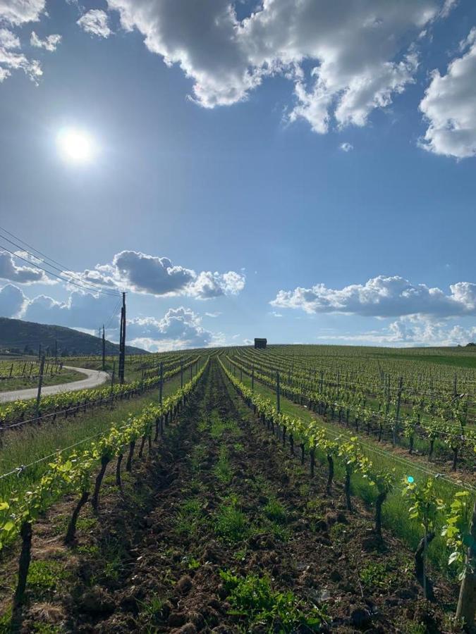 Le Gite De Buffetieres Saint-Romain-de-Popey Buitenkant foto