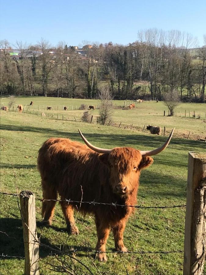 Le Gite De Buffetieres Saint-Romain-de-Popey Buitenkant foto